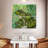 Brampt Little Frog-109095669