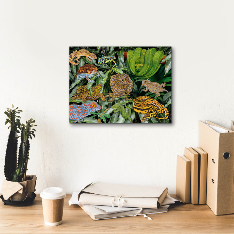  «Reptile & Amphibians» par Tim Jeffs, art mural sur toile, 16 po x 12 po, H 12 po x l 16 po