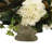 14 " Polysilk Magnolia Arrangement