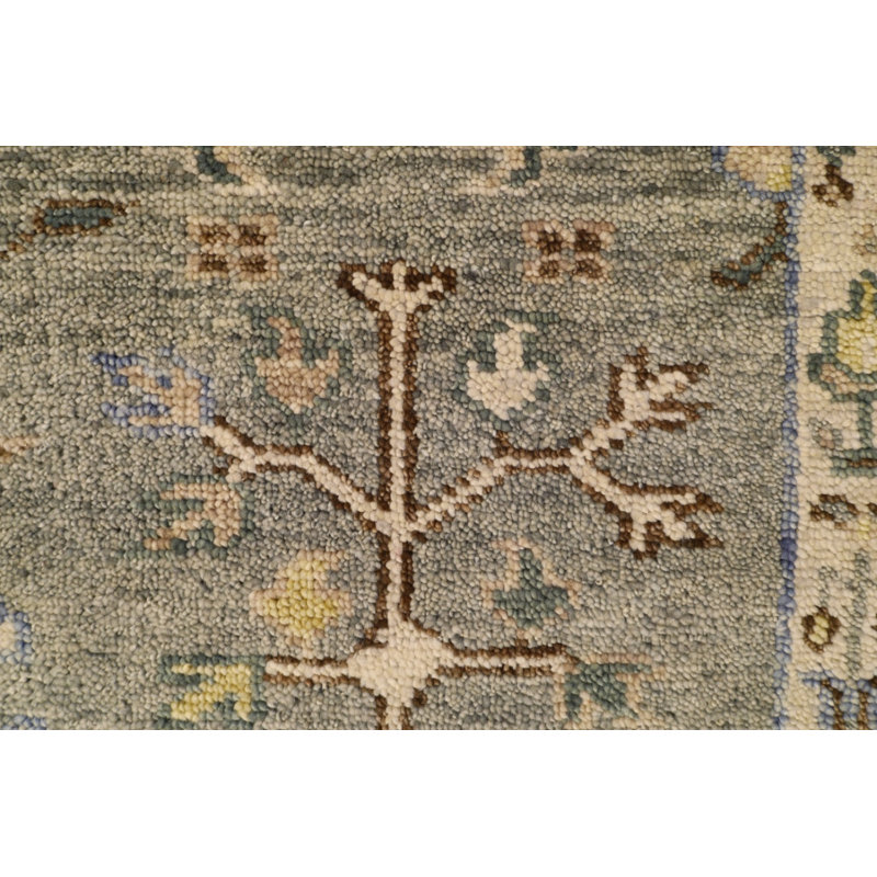 Bakshaish Oriental Area Rug in Gray