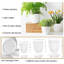 Cintres à plantes avec pots et soucoupes