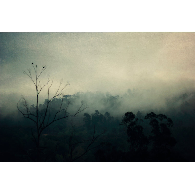 Chanson d'oiseau - reproduction de photo sur toile, H 16 po x l 24 po x P 1,5 po