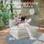 Upholstered Accent Chair