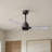 Alessandra 42'' Ceiling Fan-1421734436-1421734360