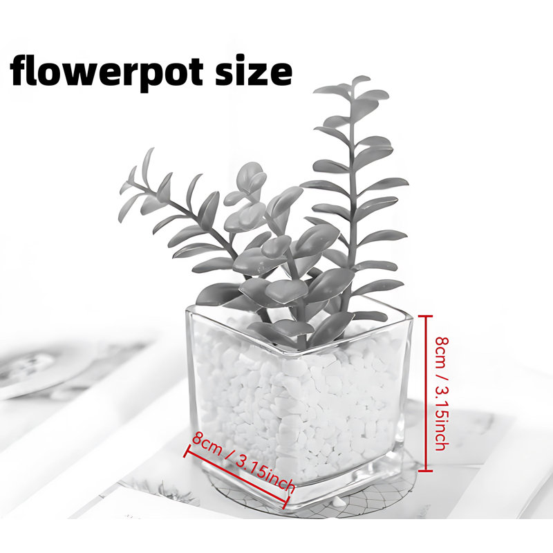 Plante 5,9 po