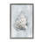 Conch Seashell Mirage Floating Frame, design by Ramona Murdock-1653021741-1653021745