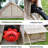 Inflatable tent