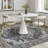 Vintage Oriental Machine Washable Area Rug-48399857