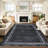 Scalloped Edge Area Rug 5' x 7' Low-Pile Stain-Resistant Fabric Non-Slip Backing Neutral Black Carpet for Living Room Bedroom and Nursery-913247243-913247247