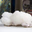 Harkirat lumineux avec apophyliite Stilbite