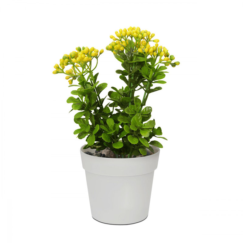 Pot décoratif Cisneros, Blanc