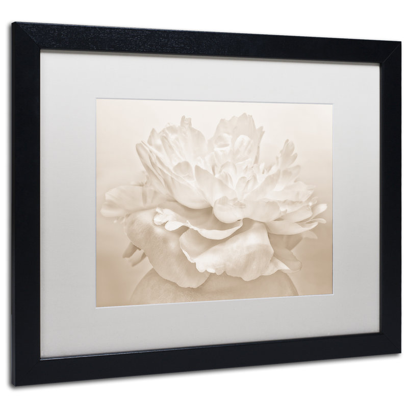 «White Peony», reproduction de photo sur toile encadrée, H 16 po x l 20 po x P 0,5 po, Noir