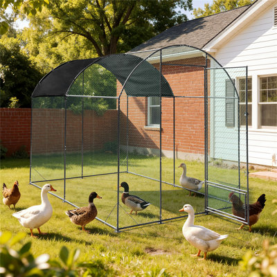 6 m² Walk In Chicken Run with Chicken Run