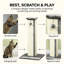 81cm H Cat Tree-1707653549