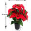 Poinsettia Arrangement-1675733914-1675733915