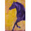 « amoroso arabique cheval », reproduction d’art sur toile tendue