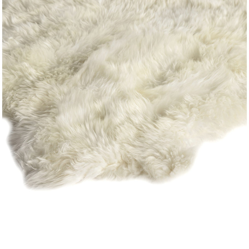 Lalo Sheepskin Area Rug in Cream, Novelty 3'3" x 6'