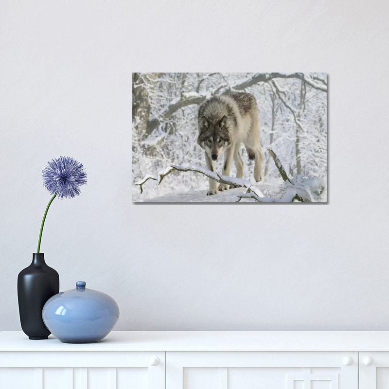 Zoo Wolf 04 1 Piece Wrapped Canvas Wall Art, 30.48 cm H x 45.72 cm W