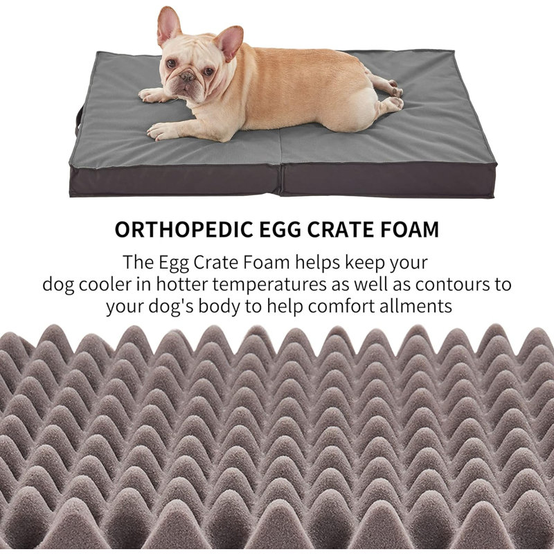 Lit pliable de refroidissement pour chien orthopédique pour l'extérieur intérieur, Très grand (l 41 po x P 29 po x H 3 po)