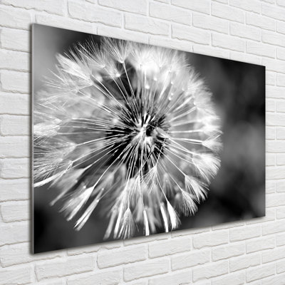 Dandelions - No Frame Print on Glass