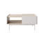Bishesh Coffee Table with Storage