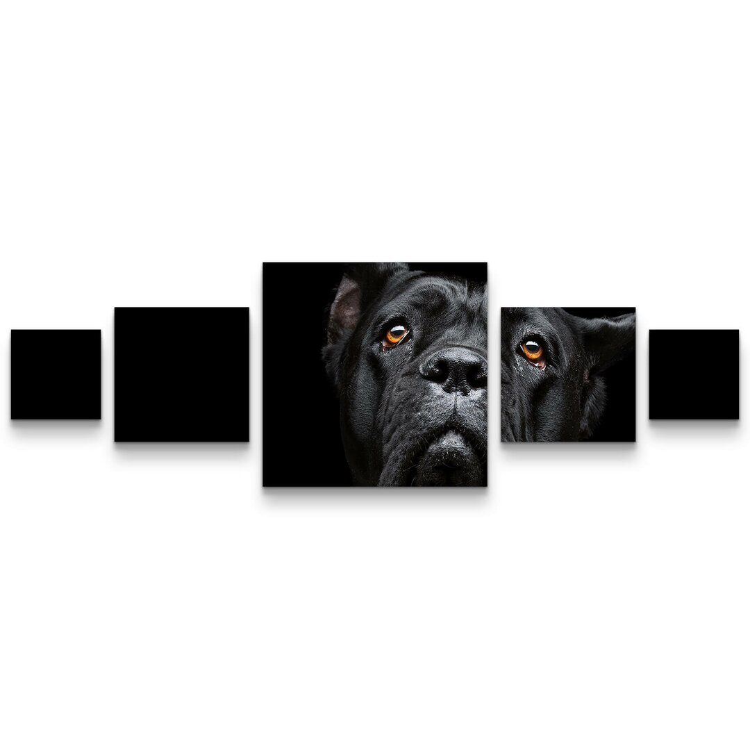 5-tlg. Leinwandbilder-Set Cane Corso Portrait