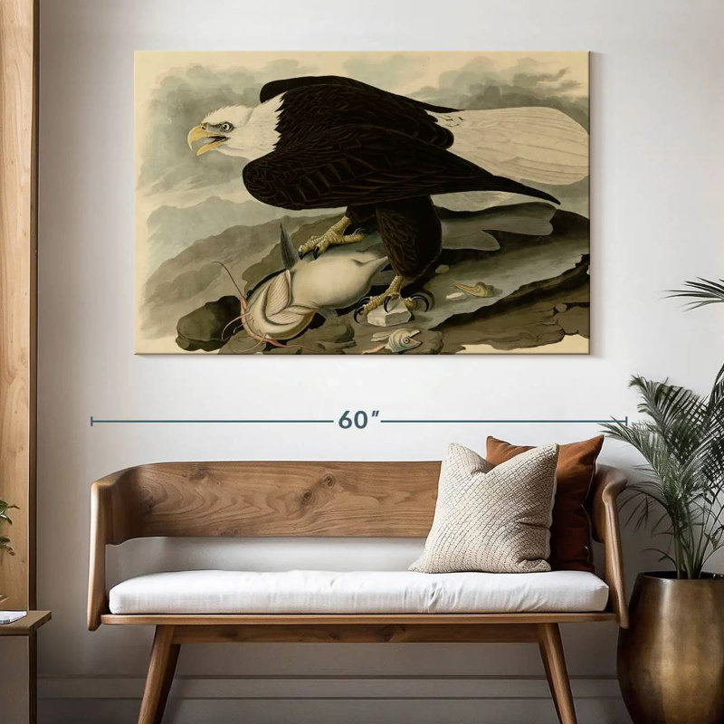 Brampt Whiteheaded Eagle, 34" H x 51" W