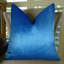 Housse de coussin bleu Thomas Thomas®-115701509
