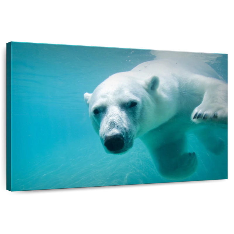 Brampt Polar Bear In The Water, 30" H x 45" W