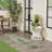 Analleli Indoor/Outdoor Area Rug-887862351