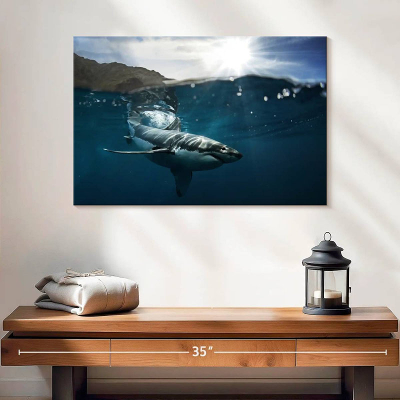 Brampt Shark Sunshine, 16" H x 24" W