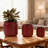 High quality ceramic flowerpot-1959492926
