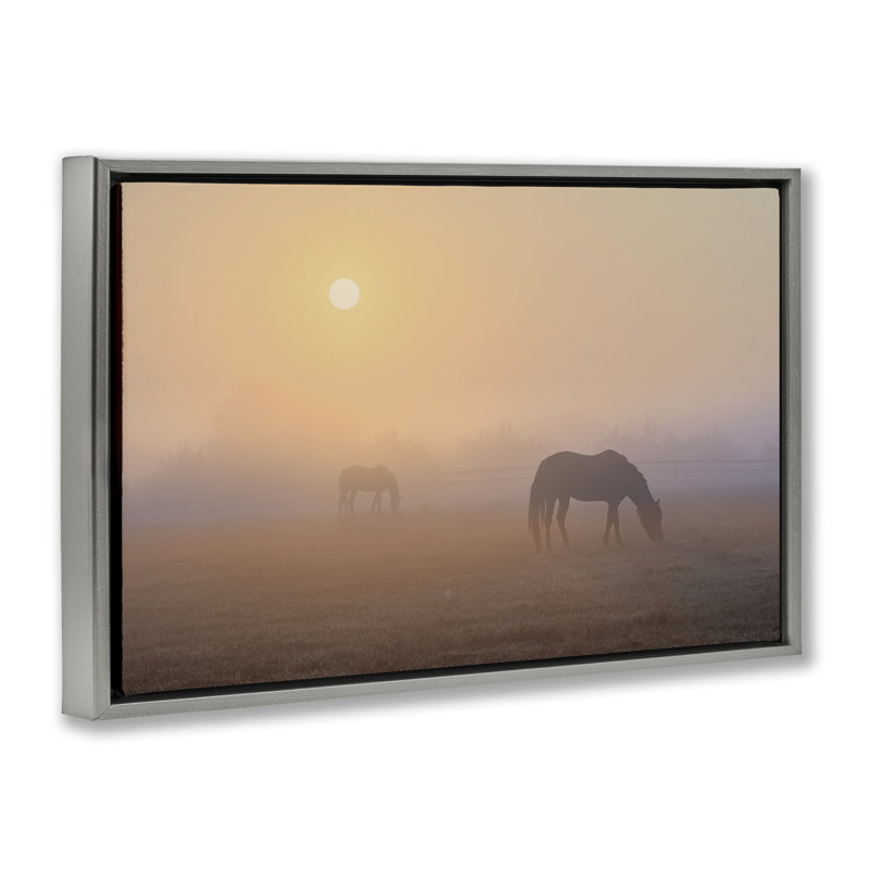 «Misty Sunlit Horses Floater» par Marty Hulsebos, Cadre flottant gris lustré, H 21 po x l 31 po