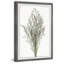 Wild Herbs 1 Piece Single Picture Frame Painting-1277149993