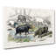 Hippopotamus And Rhinoceros by Oliver Goldsmith - Wrapped Canvas Painting-55360275