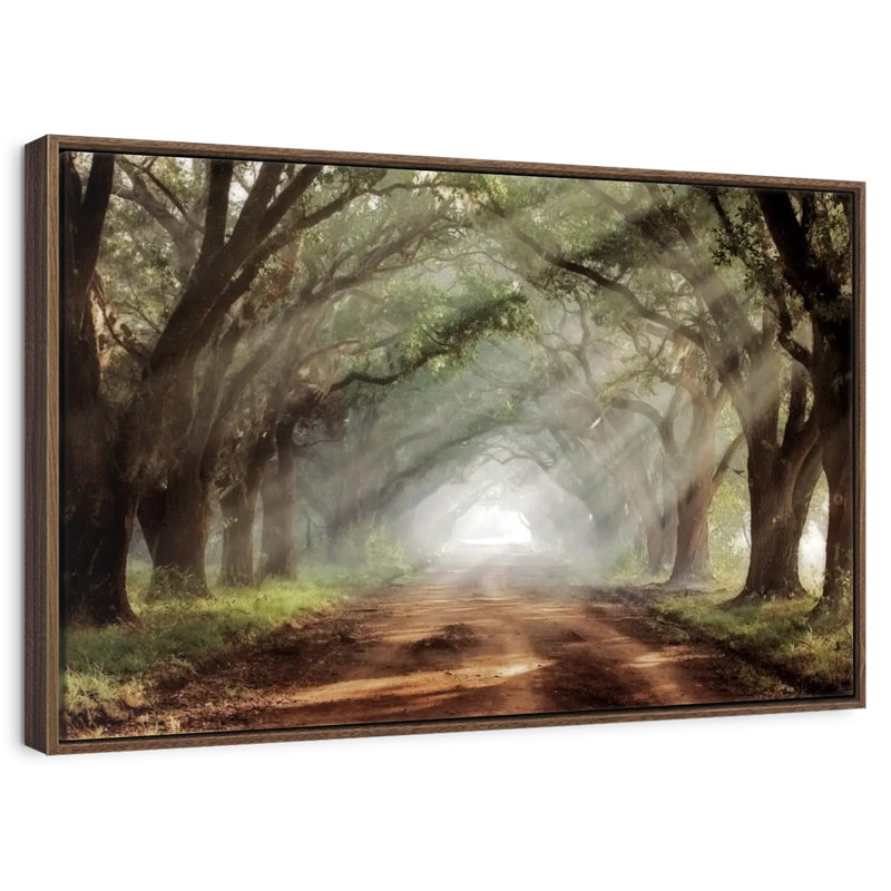 Evergreen Plantation, 46 po x 31 po, Cadre flottant noyer