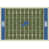 Detroit Lions