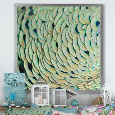 " Peacock Feathers III "