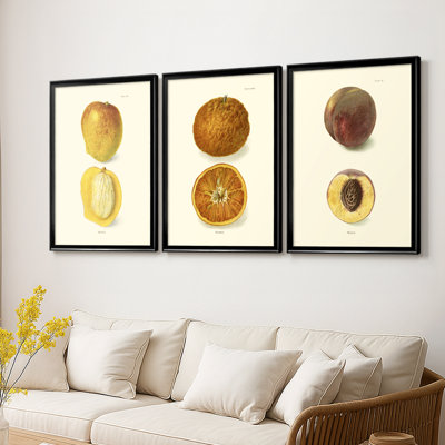 Mango  -Custom Framed  Wrapped Gallery Canvas - 3 Pieces