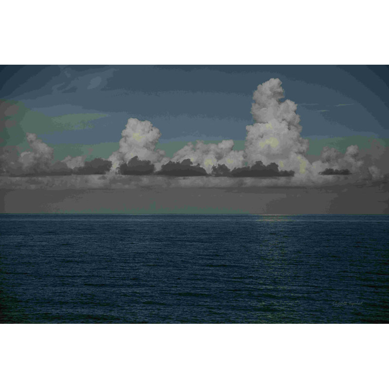 Into the Deep I par Elizabeth Urquhart - photographie sur toile tendue, H 20 po x l 30 po, Cadre doré simple, Non