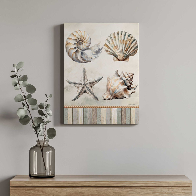«Cape Cod Shores Seashells» par Nicole DeCamp, reproduction d'art, L 18 po x H 24 po, Ne s’applique pas, Toile non encadrée