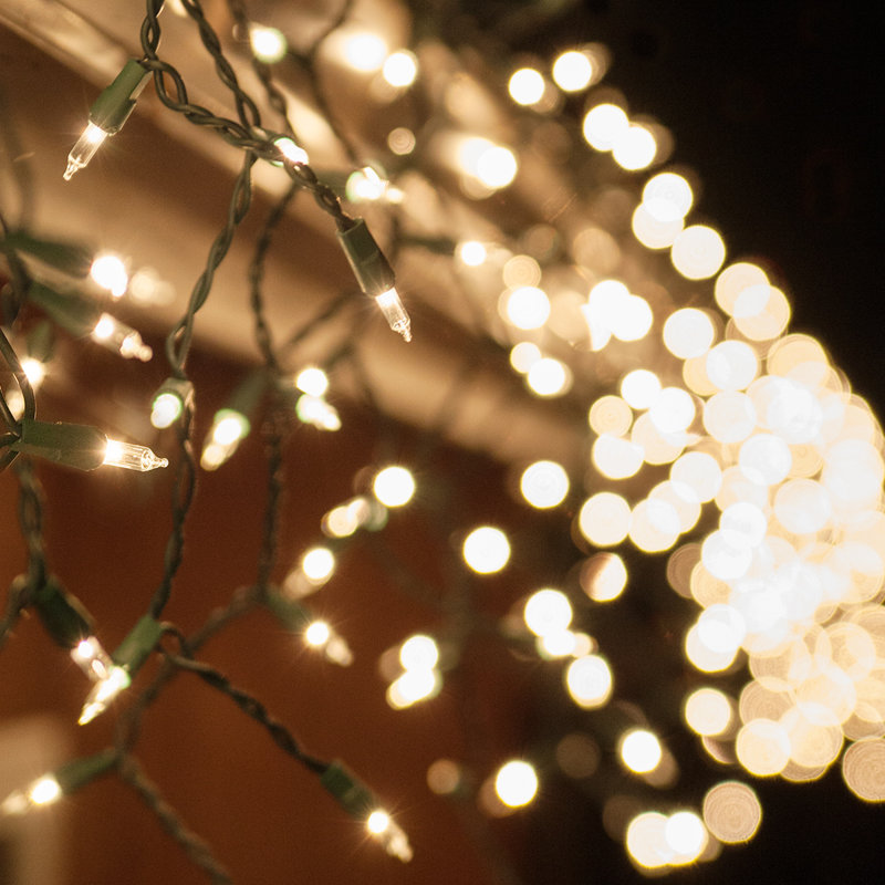 Icicle Lights, Clear