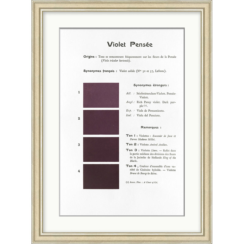 Violet 10 Print by Danielle Rollins