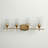 Dahlya 4 - Light Dimmable Vanity Light-112679997