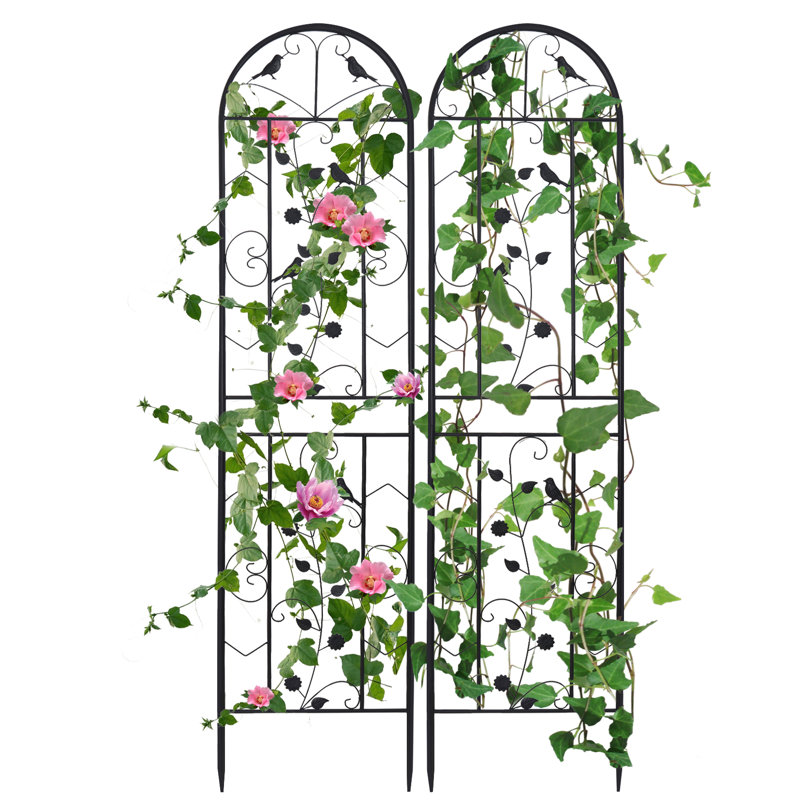 Charmagne 82.6'' H x 19.7'' W Iron Arched Trellis
