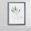 « simple sage ii »-cadre photo imprimé sur verre-1626722299-1626722296
