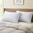 Cotesfield Plush Pillow-263173467