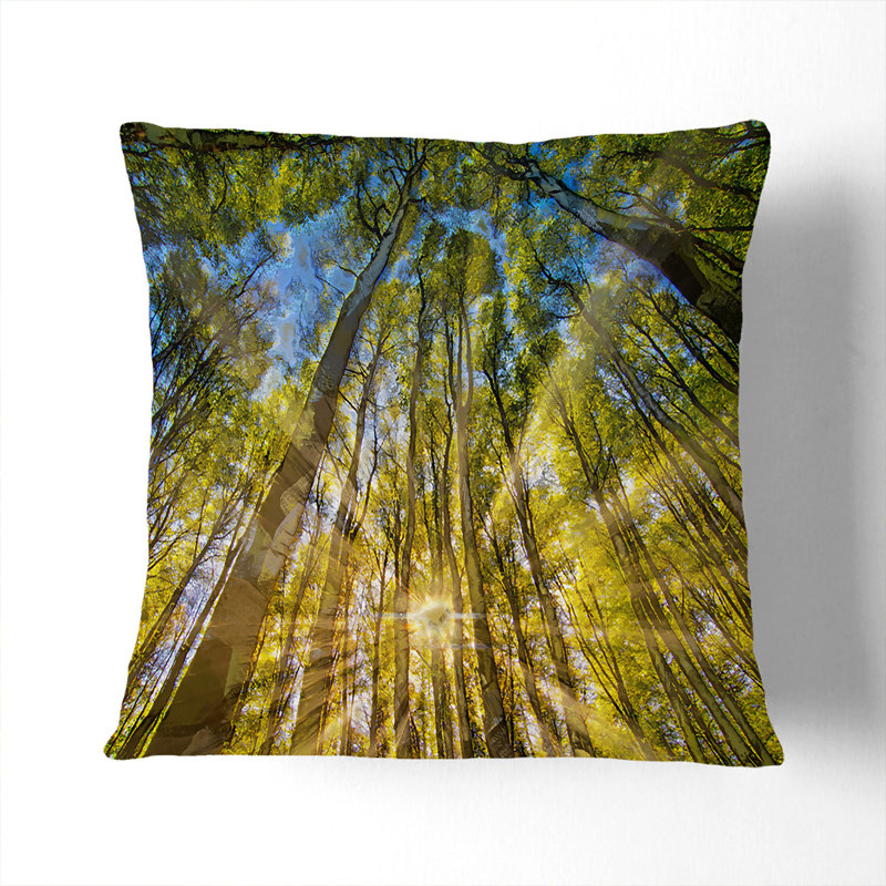 Square Throw Cushion, Black, 55cm H x 55cm W x 20cm D