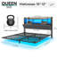 Storage Bed-1026486072