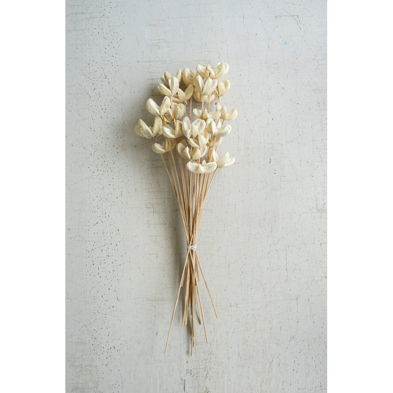  Ensemble de 24 fleurs de balles blanchies sur tiges - H 29 po